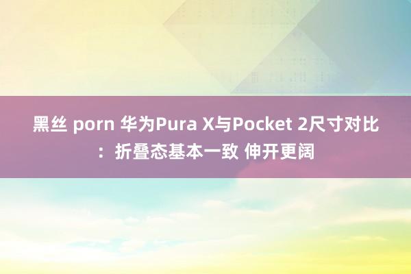 黑丝 porn 华为Pura X与Pocket 2尺寸对比：折叠态基本一致 伸开更阔