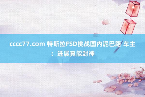 cccc77.com 特斯拉FSD挑战国内泥巴路 车主：进展真能封神