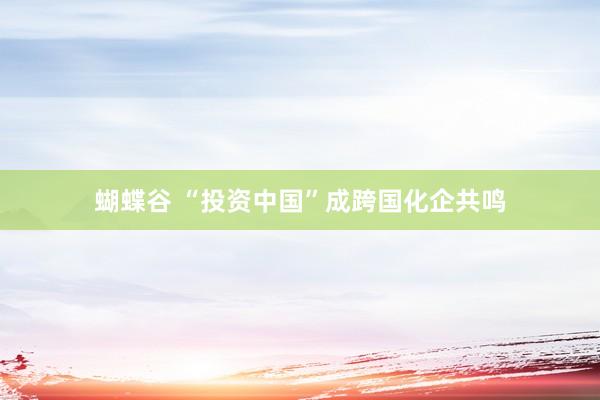 蝴蝶谷 “投资中国”成跨国化企共鸣