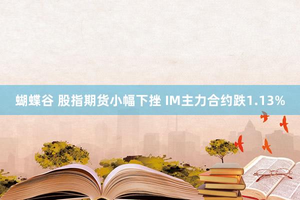蝴蝶谷 股指期货小幅下挫 IM主力合约跌1.13%