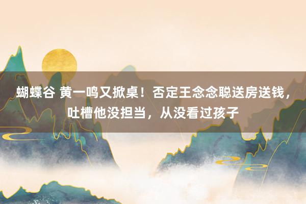 蝴蝶谷 黄一鸣又掀桌！否定王念念聪送房送钱，吐槽他没担当，从没看过孩子