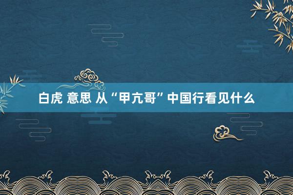 白虎 意思 从“甲亢哥”中国行看见什么
