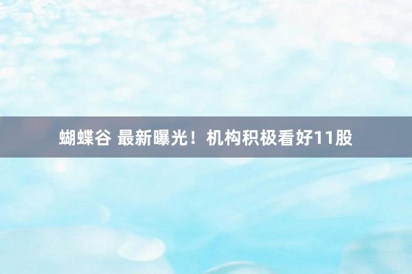 蝴蝶谷 最新曝光！机构积极看好11股